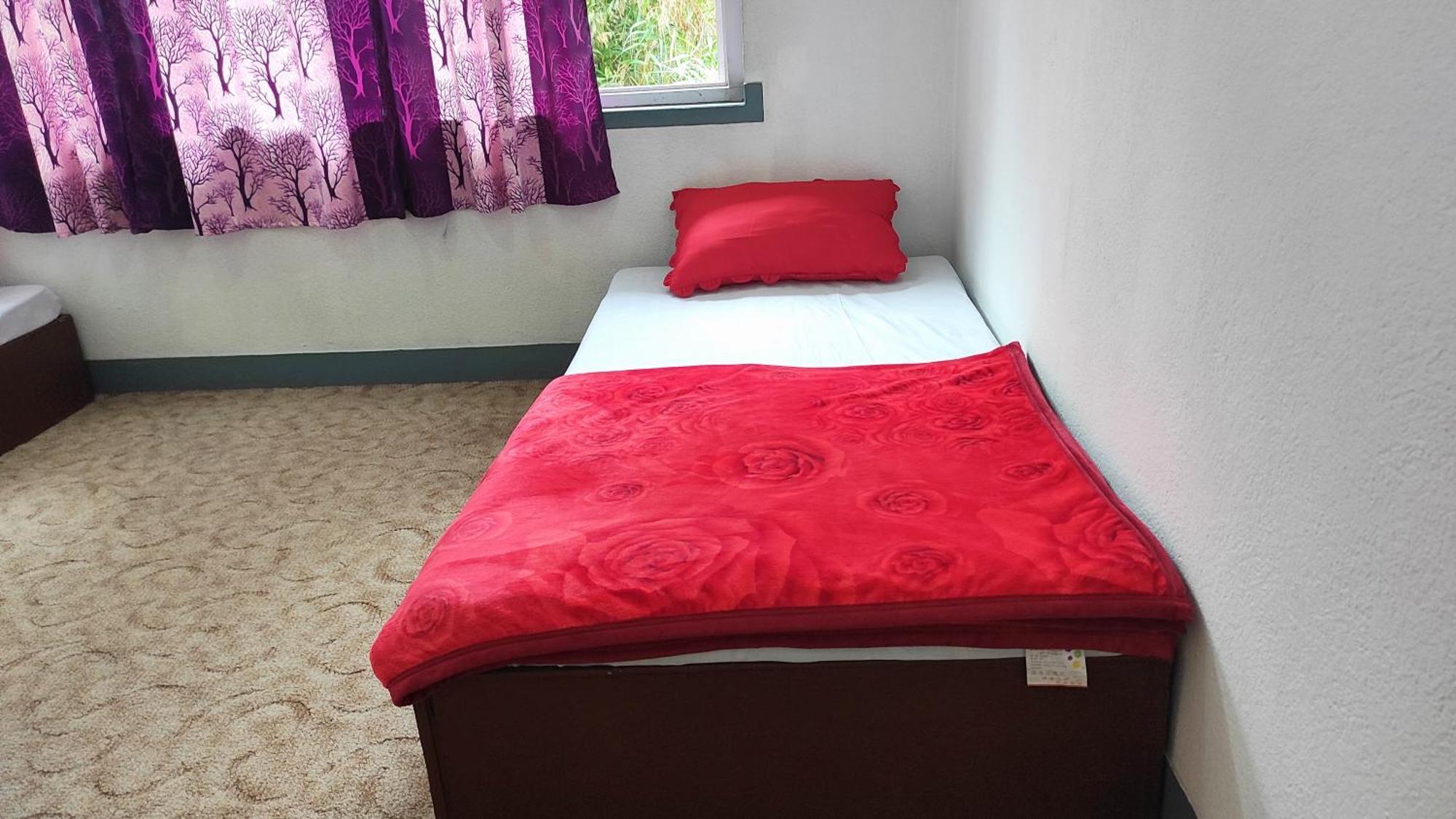 Budget Backpackers Hotel Lalitpur Exterior photo