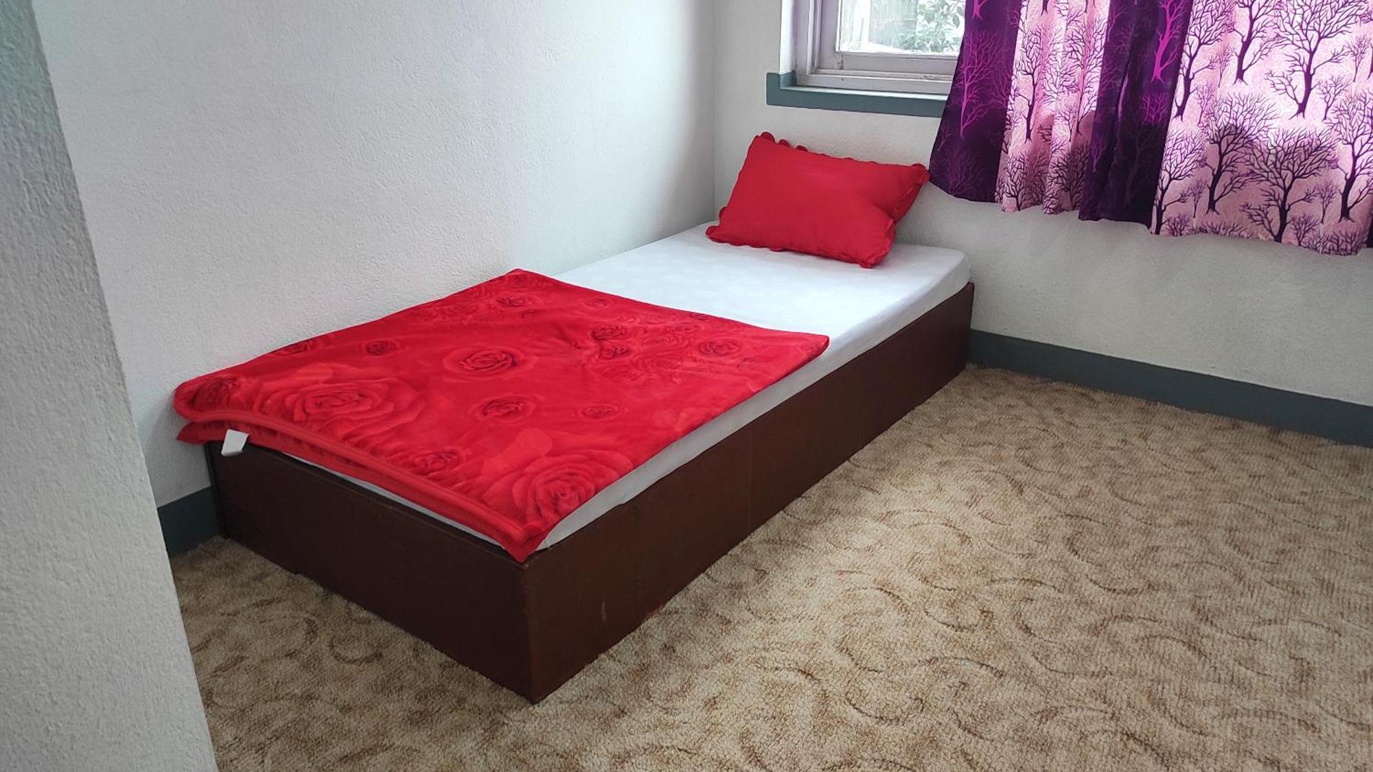 Budget Backpackers Hotel Lalitpur Exterior photo